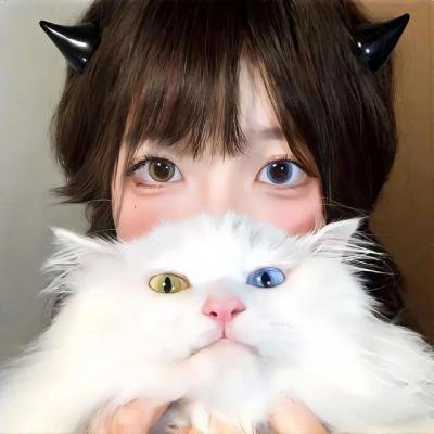 完美独裁