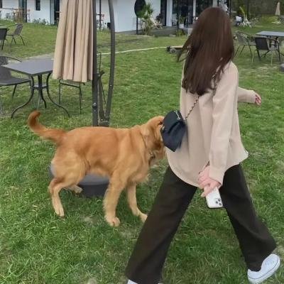 镜面奇情
