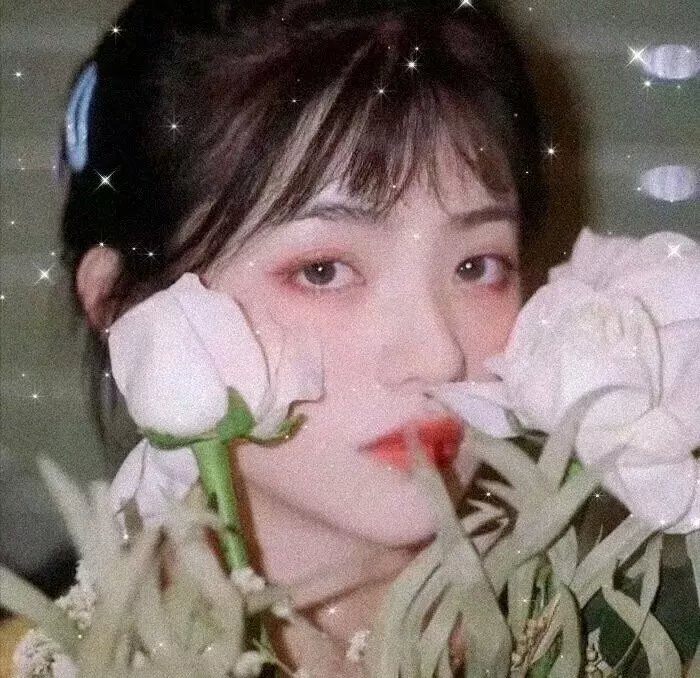 月事革命